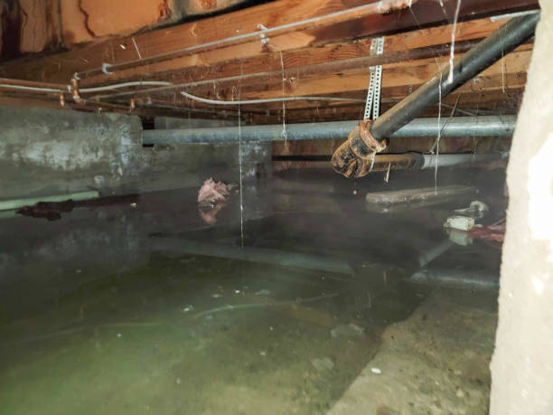 Best Flood restoration services  in Captains Cove, VA
