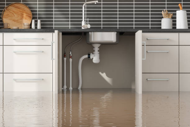 Best Ceiling water damage repair  in Captains Cove, VA