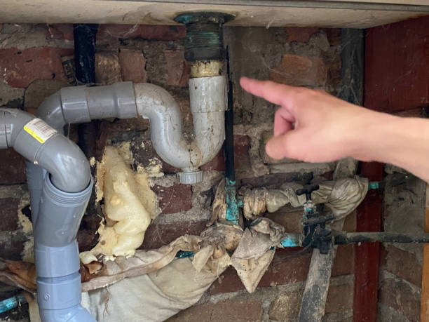 Best Water damage cleanup near me  in Captains Cove, VA