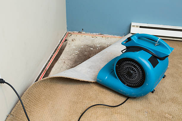 Best Water damage contractors near me  in Captains Cove, VA